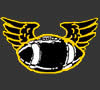 Lower Burrell Flyers
